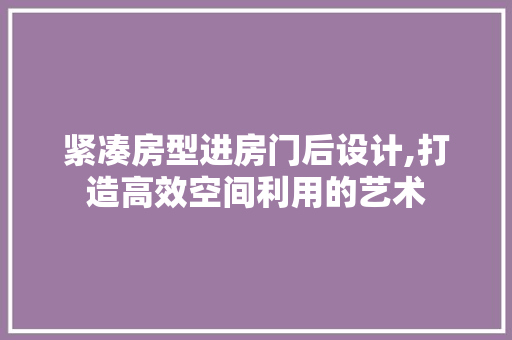 紧凑房型进房门后设计,打造高效空间利用的艺术
