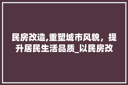 民房改造,重塑城市风貌，提升居民生活品质_以民房改造团队为例