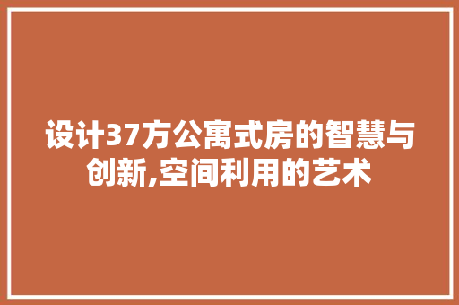 设计37方公寓式房的智慧与创新,空间利用的艺术
