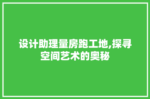设计助理量房跑工地,探寻空间艺术的奥秘