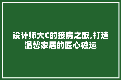 设计师大C的接房之旅,打造温馨家居的匠心独运