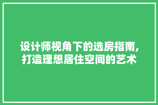 设计师视角下的选房指南,打造理想居住空间的艺术