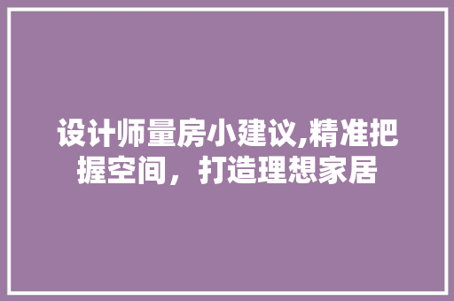 设计师量房小建议,精准把握空间，打造理想家居