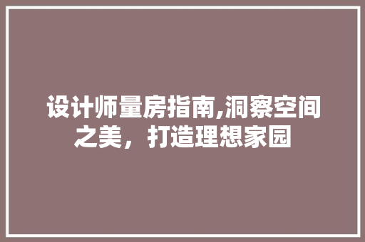 设计师量房指南,洞察空间之美，打造理想家园