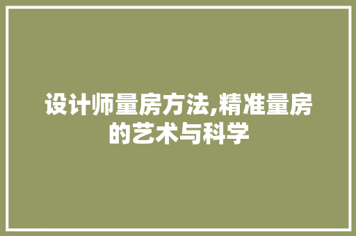 设计师量房方法,精准量房的艺术与科学