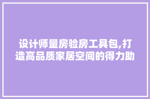 设计师量房验房工具包,打造高品质家居空间的得力助手