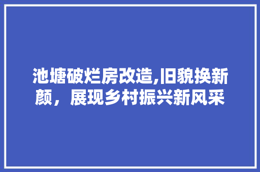 池塘破烂房改造,旧貌换新颜，展现乡村振兴新风采