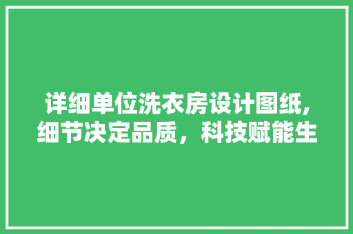 详细单位洗衣房设计图纸,细节决定品质，科技赋能生活
