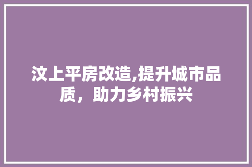 汶上平房改造,提升城市品质，助力乡村振兴