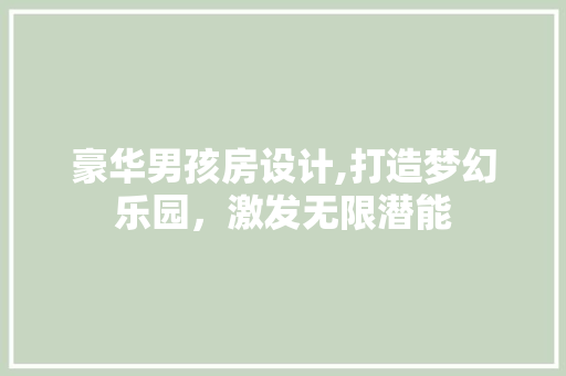 豪华男孩房设计,打造梦幻乐园，激发无限潜能