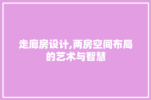 走廊房设计,两房空间布局的艺术与智慧