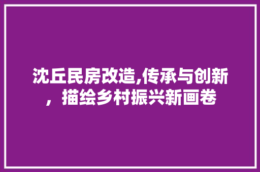 沈丘民房改造,传承与创新，描绘乡村振兴新画卷