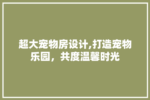 超大宠物房设计,打造宠物乐园，共度温馨时光