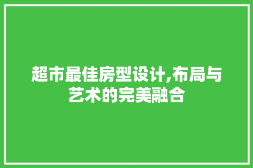 超市最佳房型设计,布局与艺术的完美融合
