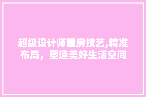 超级设计师量房技艺,精准布局，塑造美好生活空间