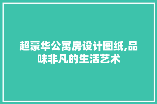 超豪华公寓房设计图纸,品味非凡的生活艺术