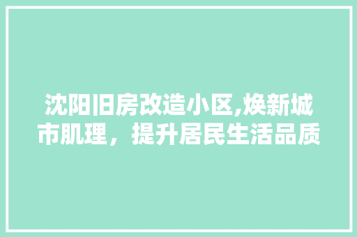 沈阳旧房改造小区,焕新城市肌理，提升居民生活品质
