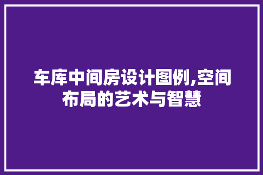 车库中间房设计图例,空间布局的艺术与智慧