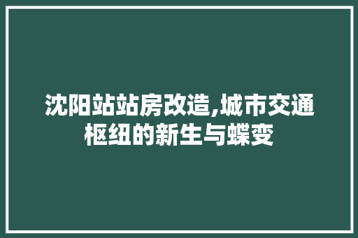 沈阳站站房改造,城市交通枢纽的新生与蝶变