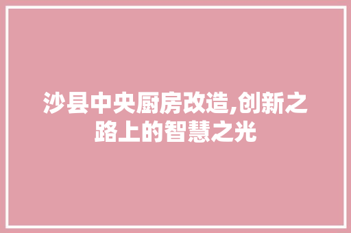沙县中央厨房改造,创新之路上的智慧之光