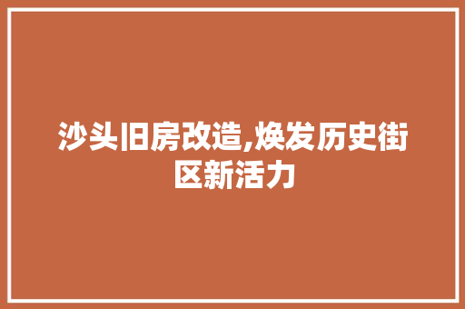 沙头旧房改造,焕发历史街区新活力