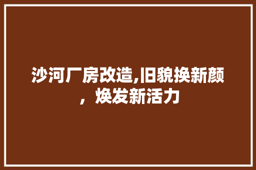 沙河厂房改造,旧貌换新颜，焕发新活力