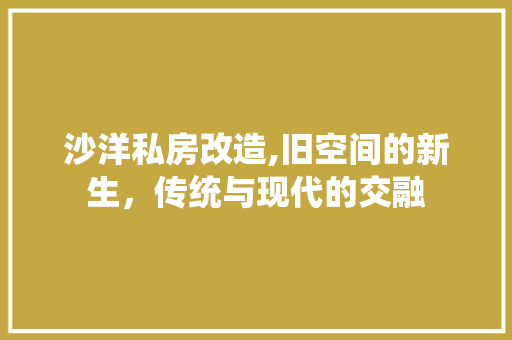 沙洋私房改造,旧空间的新生，传统与现代的交融