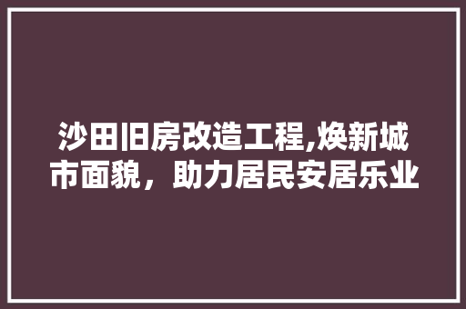 沙田旧房改造工程,焕新城市面貌，助力居民安居乐业