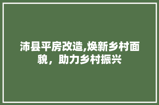 沛县平房改造,焕新乡村面貌，助力乡村振兴