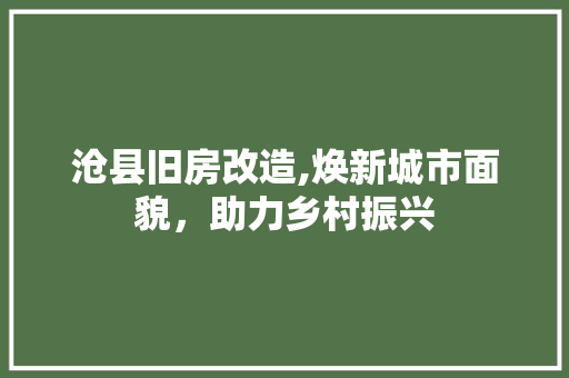 沧县旧房改造,焕新城市面貌，助力乡村振兴