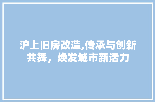 沪上旧房改造,传承与创新共舞，焕发城市新活力