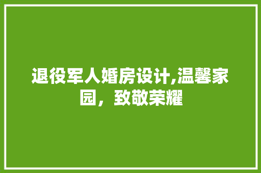 退役军人婚房设计,温馨家园，致敬荣耀