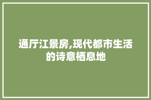 通厅江景房,现代都市生活的诗意栖息地
