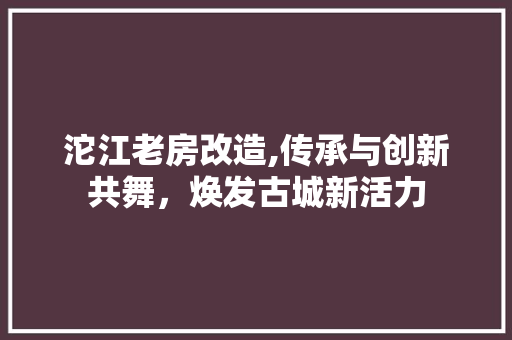 沱江老房改造,传承与创新共舞，焕发古城新活力