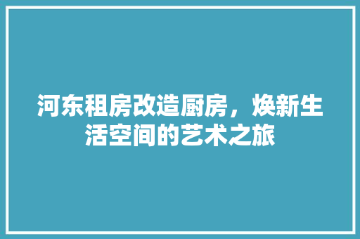 河东租房改造厨房，焕新生活空间的艺术之旅