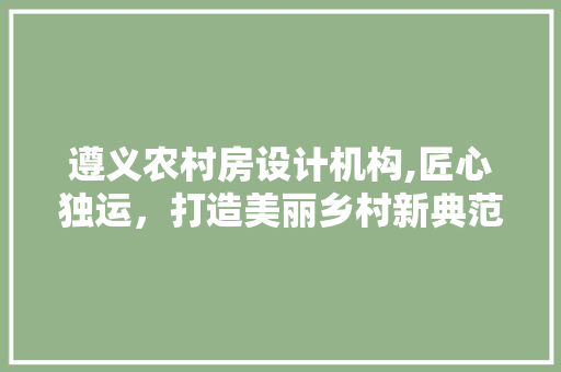 遵义农村房设计机构,匠心独运，打造美丽乡村新典范
