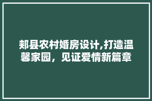郏县农村婚房设计,打造温馨家园，见证爱情新篇章