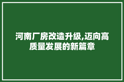 河南厂房改造升级,迈向高质量发展的新篇章