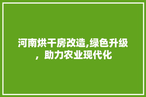 河南烘干房改造,绿色升级，助力农业现代化