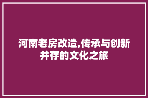 河南老房改造,传承与创新并存的文化之旅