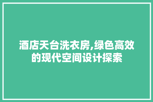 酒店天台洗衣房,绿色高效的现代空间设计探索