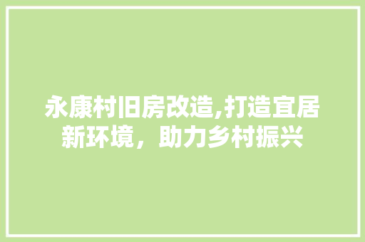 永康村旧房改造,打造宜居新环境，助力乡村振兴