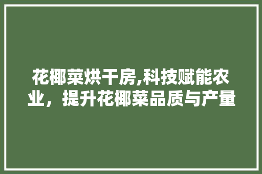 花椰菜烘干房,科技赋能农业，提升花椰菜品质与产量