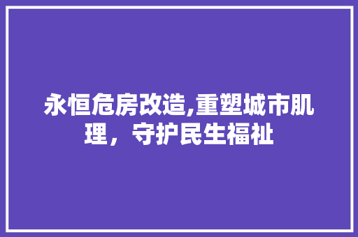 永恒危房改造,重塑城市肌理，守护民生福祉