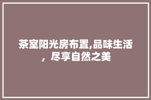 茶室阳光房布置,品味生活，尽享自然之美