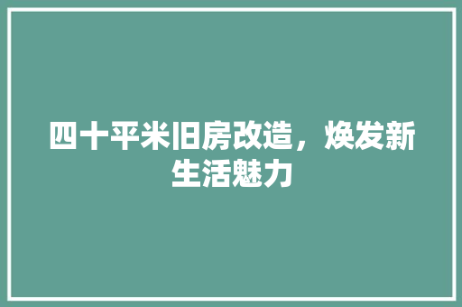 四十平米旧房改造，焕发新生活魅力