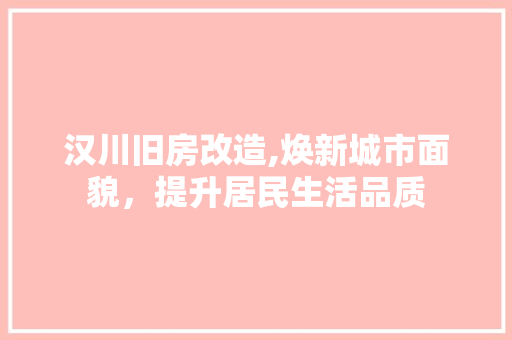 汉川旧房改造,焕新城市面貌，提升居民生活品质