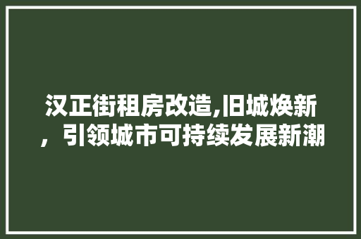 汉正街租房改造,旧城焕新，引领城市可持续发展新潮流
