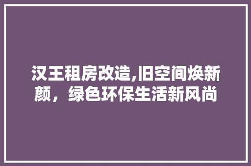 汉王租房改造,旧空间焕新颜，绿色环保生活新风尚