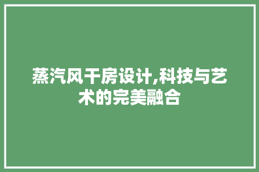 蒸汽风干房设计,科技与艺术的完美融合